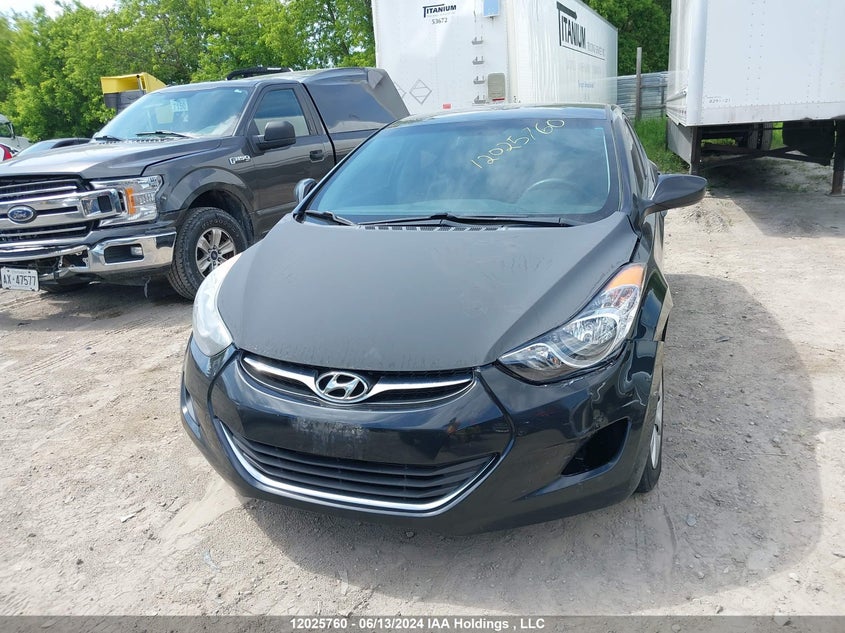 2012 Hyundai Elantra Gls/Limited VIN: 5NPDH4AE2CH116173 Lot: 12025760
