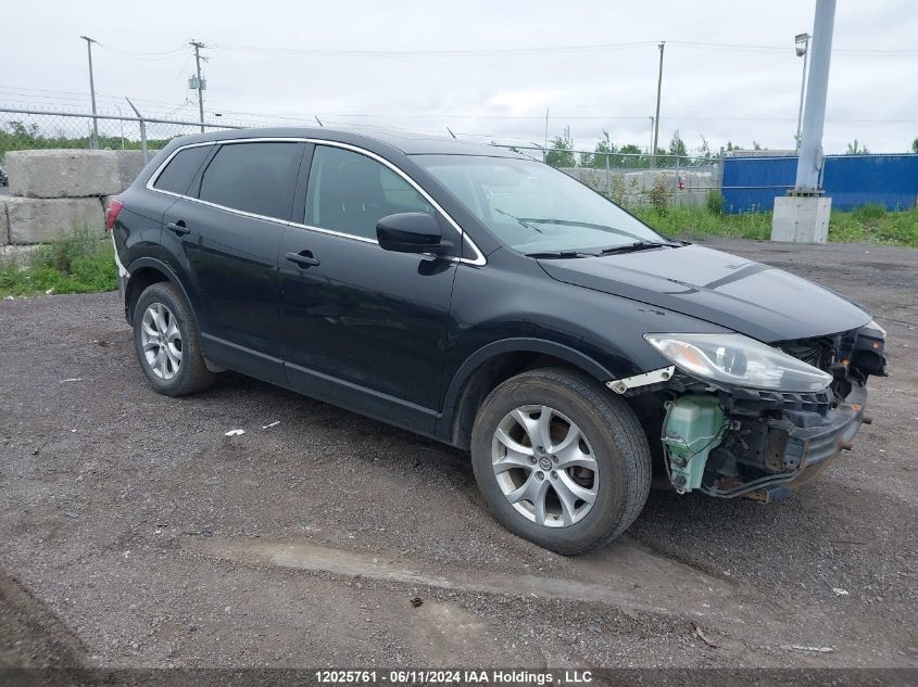 2013 Mazda Cx-9 VIN: JM3TB3CA6D0420176 Lot: 12025761