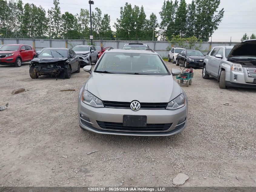 2017 Volkswagen Golf Sportwagen VIN: 3VW017AU9HM516404 Lot: 12025787