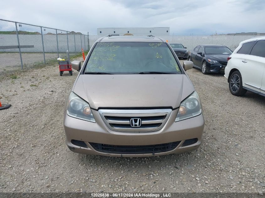 2006 Honda Odyssey VIN: 5FNRL38686B510907 Lot: 12025838