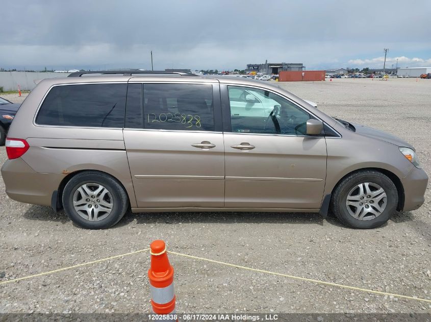 2006 Honda Odyssey VIN: 5FNRL38686B510907 Lot: 12025838