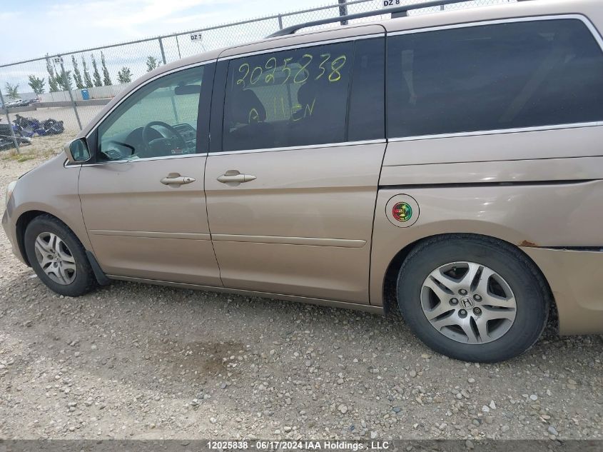 2006 Honda Odyssey VIN: 5FNRL38686B510907 Lot: 12025838