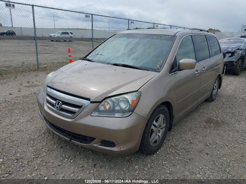 2006 Honda Odyssey VIN: 5FNRL38686B510907 Lot: 12025838