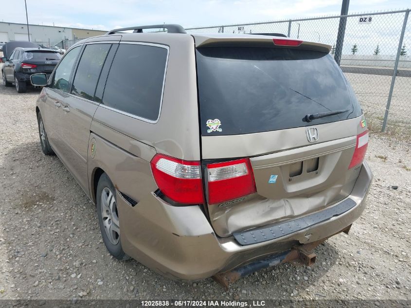 2006 Honda Odyssey VIN: 5FNRL38686B510907 Lot: 12025838