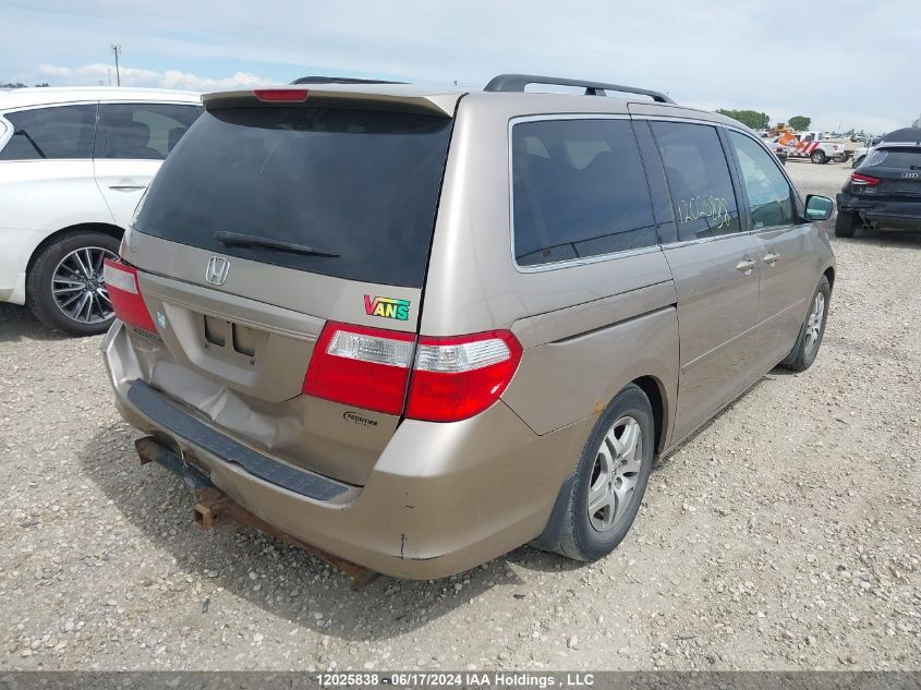 2006 Honda Odyssey VIN: 5FNRL38686B510907 Lot: 12025838