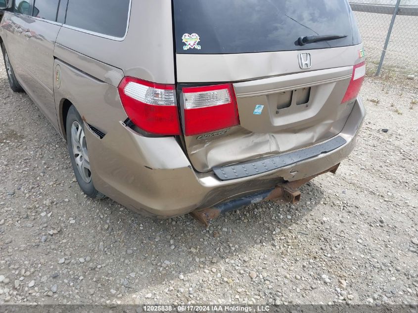 2006 Honda Odyssey VIN: 5FNRL38686B510907 Lot: 12025838