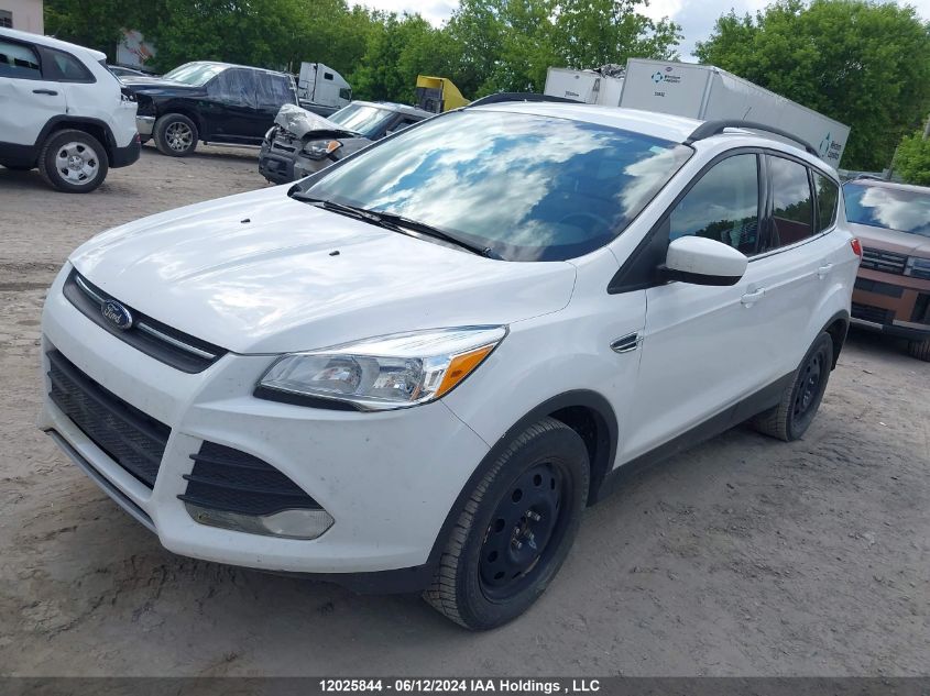 2016 Ford Escape Se VIN: 1FMCU9GX0GUB49015 Lot: 12025844