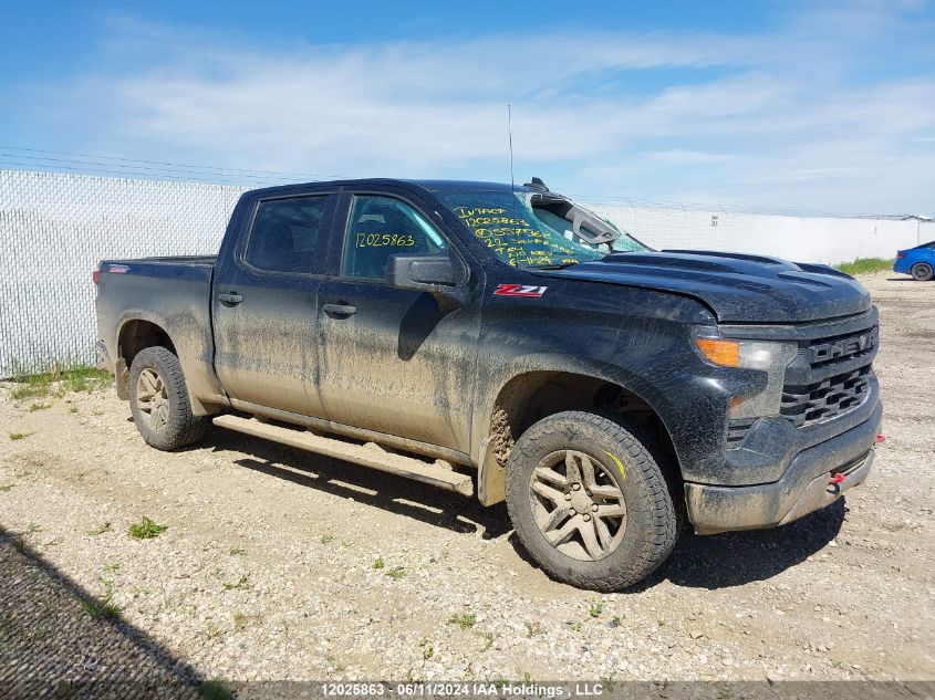 2022 Chevrolet Silverado K1500 Trail Boss Custom VIN: 3GCPDCEK1NG557968 Lot: 12025863