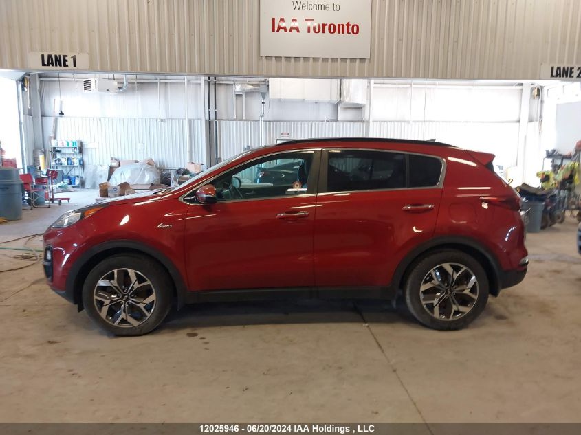 2020 Kia Sportage VIN: KNDPNCAC4L7660550 Lot: 12025946