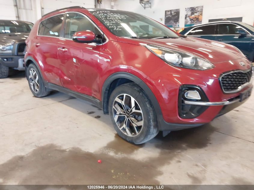 2020 Kia Sportage VIN: KNDPNCAC4L7660550 Lot: 12025946