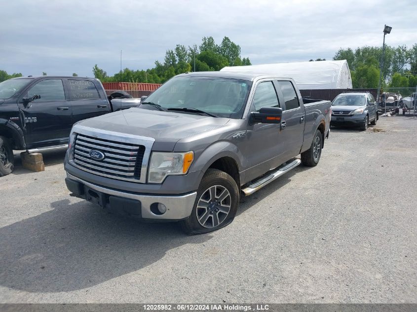 2010 Ford F150 Supercrew VIN: 1FTEW1C85AFD44885 Lot: 12025982