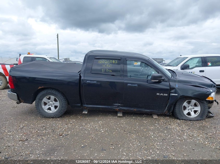 2009 Dodge Ram 1500 VIN: 1D3HV13T79S800934 Lot: 12026087