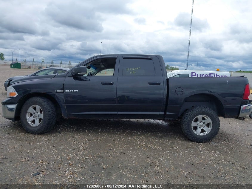 2009 Dodge Ram 1500 VIN: 1D3HV13T79S800934 Lot: 12026087