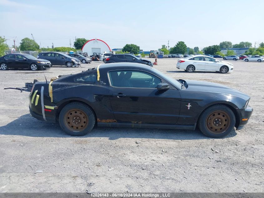 2011 Ford Mustang VIN: 1ZVBP8AM1B5161786 Lot: 12026143