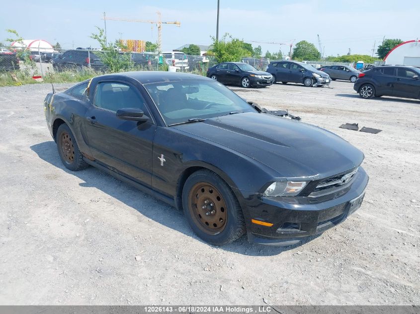 2011 Ford Mustang VIN: 1ZVBP8AM1B5161786 Lot: 12026143