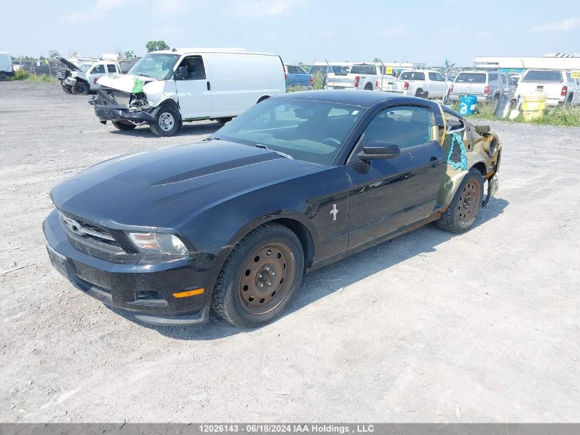 2011 Ford Mustang VIN: 1ZVBP8AM1B5161786 Lot: 12026143