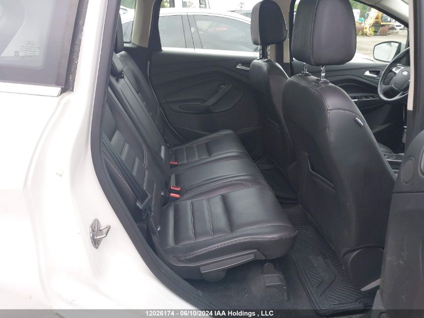 2017 Ford C-Max Titanium VIN: 1FADP5DU8HL100550 Lot: 12026174