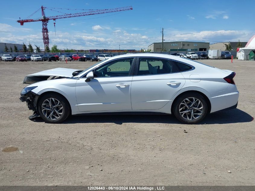 2021 Hyundai Sonata Preferred VIN: 5NPEG4JA5MH065905 Lot: 12026443