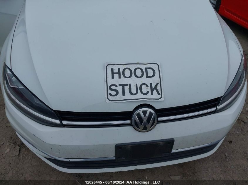 2019 Volkswagen Golf VIN: 3VWG57AU2KM025134 Lot: 12026445