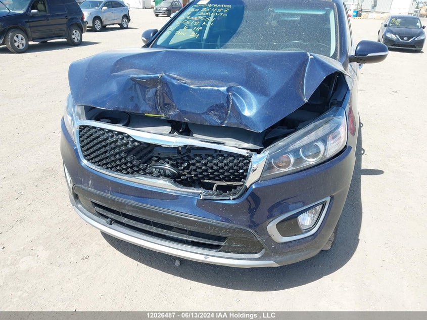2017 Kia Sorento VIN: 5XYPHDA11HG308564 Lot: 12026487
