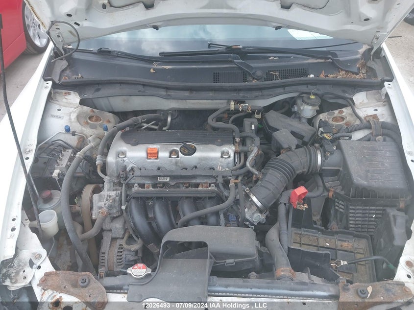 2011 Honda Accord VIN: 1HGCP2F62BA803374 Lot: 12026493