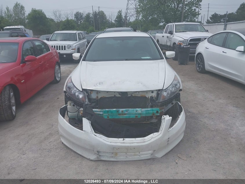 2011 Honda Accord VIN: 1HGCP2F62BA803374 Lot: 12026493