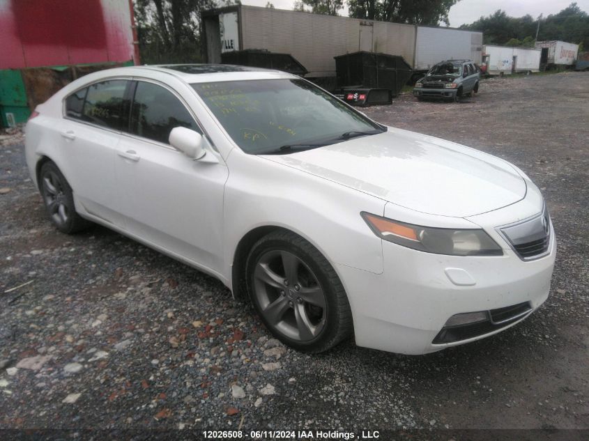 2013 Acura Tl VIN: 19UUA9F26DA800265 Lot: 12026508