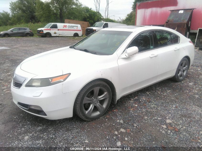 2013 Acura Tl VIN: 19UUA9F26DA800265 Lot: 12026508