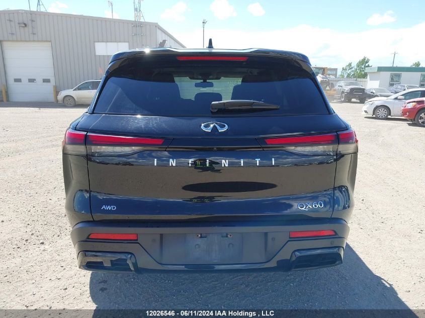 2022 Infiniti Qx60 VIN: 5N1DL1ES4NC338088 Lot: 12026546