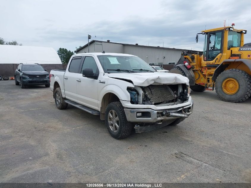 2020 Ford F-150 Xlt VIN: 1FTEW1E55LKF43495 Lot: 12026556