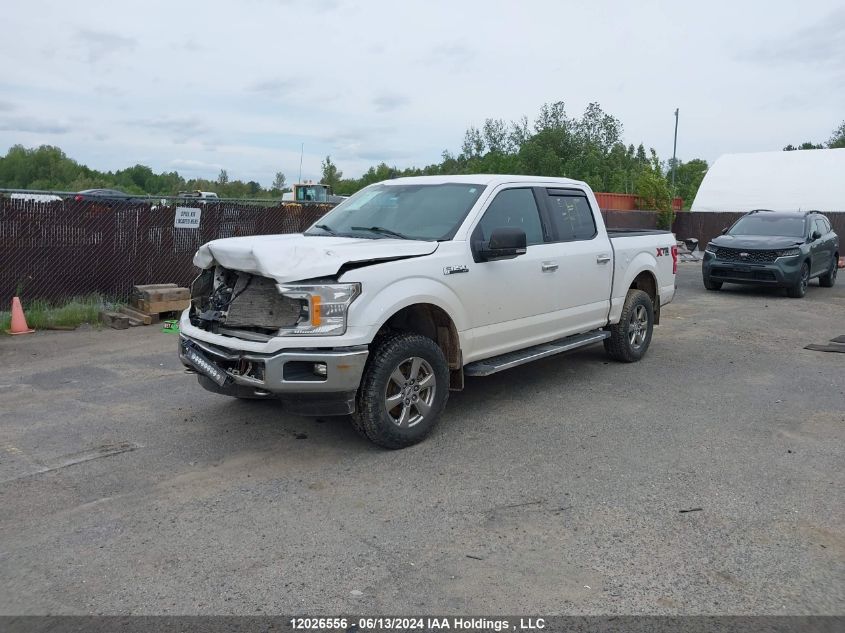 2020 Ford F-150 Xlt VIN: 1FTEW1E55LKF43495 Lot: 12026556