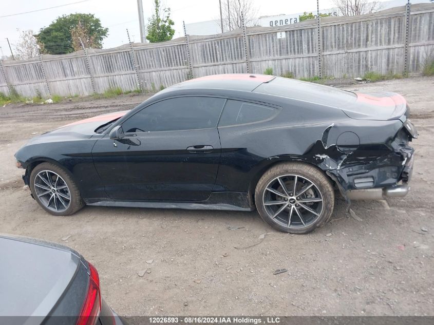 2019 Ford Mustang VIN: 1FA6P8TH5K5102797 Lot: 12026593