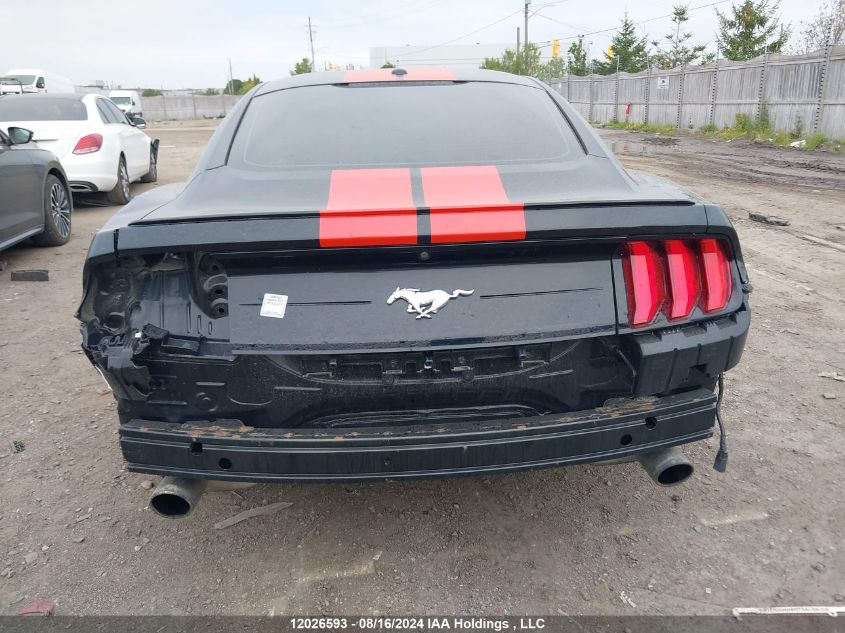 2019 Ford Mustang VIN: 1FA6P8TH5K5102797 Lot: 12026593