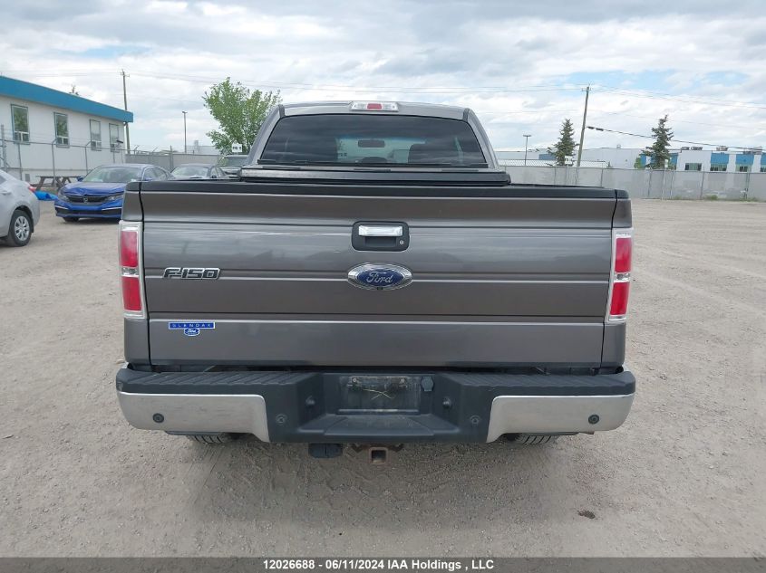 2013 Ford F150 Super Cab VIN: 1FTFX1ET7DFD72212 Lot: 12026688