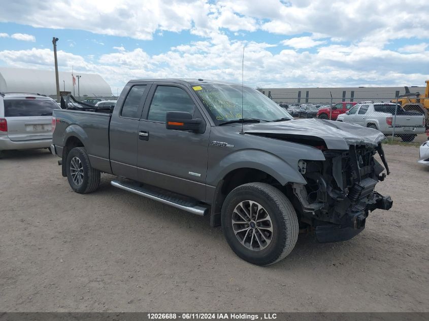 2013 Ford F150 Super Cab VIN: 1FTFX1ET7DFD72212 Lot: 12026688