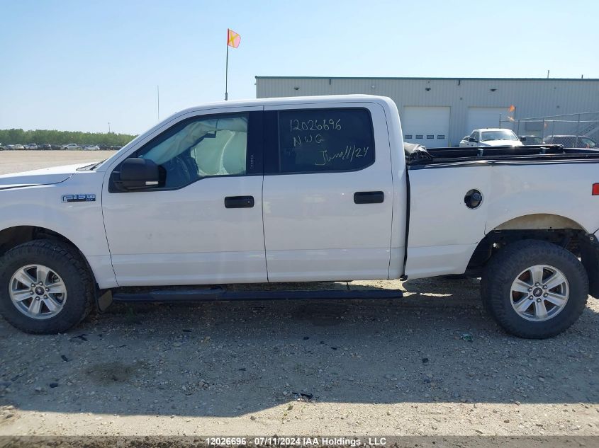 2019 Ford F-150 Xlt VIN: 1FTFW1E49KKE19532 Lot: 12026696