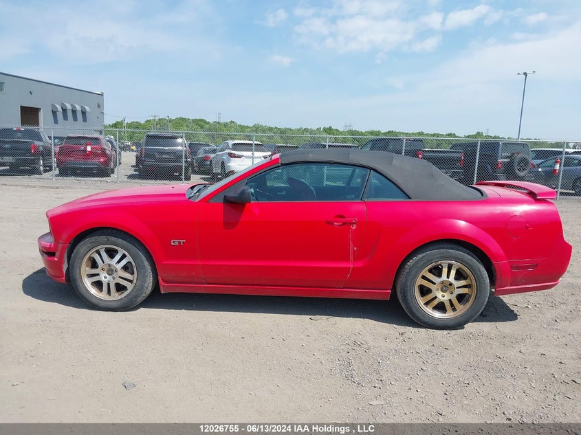 2005 Ford Mustang Gt VIN: 1ZVFT85H055167707 Lot: 12026755