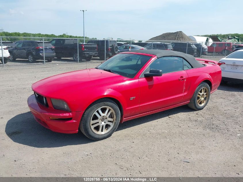 2005 Ford Mustang Gt VIN: 1ZVFT85H055167707 Lot: 12026755