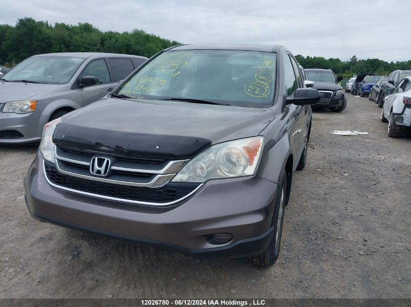 2011 Honda Cr-V Lx VIN: 5J6RE4H33BL801693 Lot: 12026780