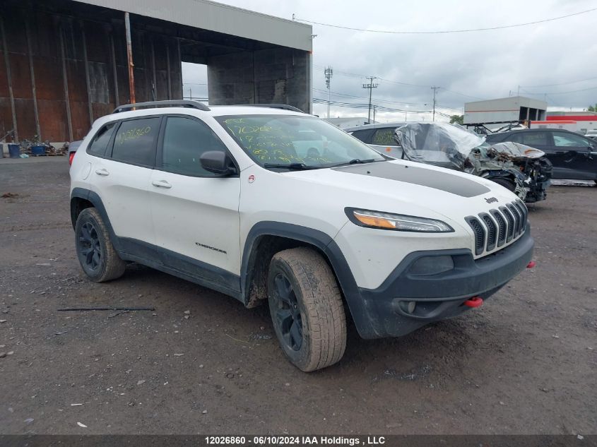 2018 Jeep Cherokee Trailhawk VIN: 1C4PJMBX2JD517646 Lot: 12026860