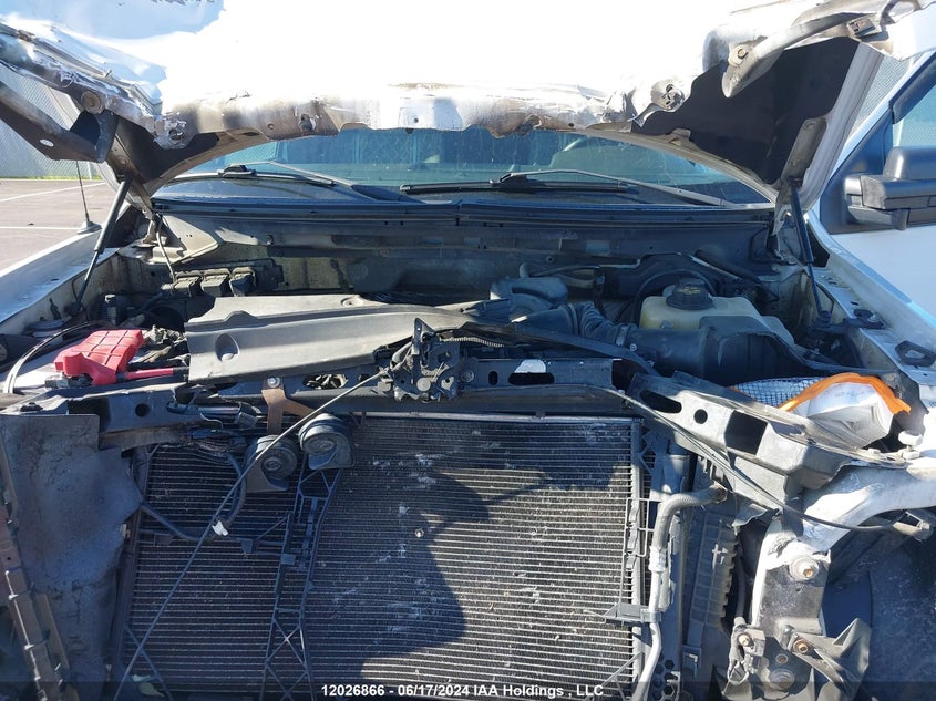 2013 Ford F-150 Xlt VIN: 1FTMF1EM8DKD32375 Lot: 12026866