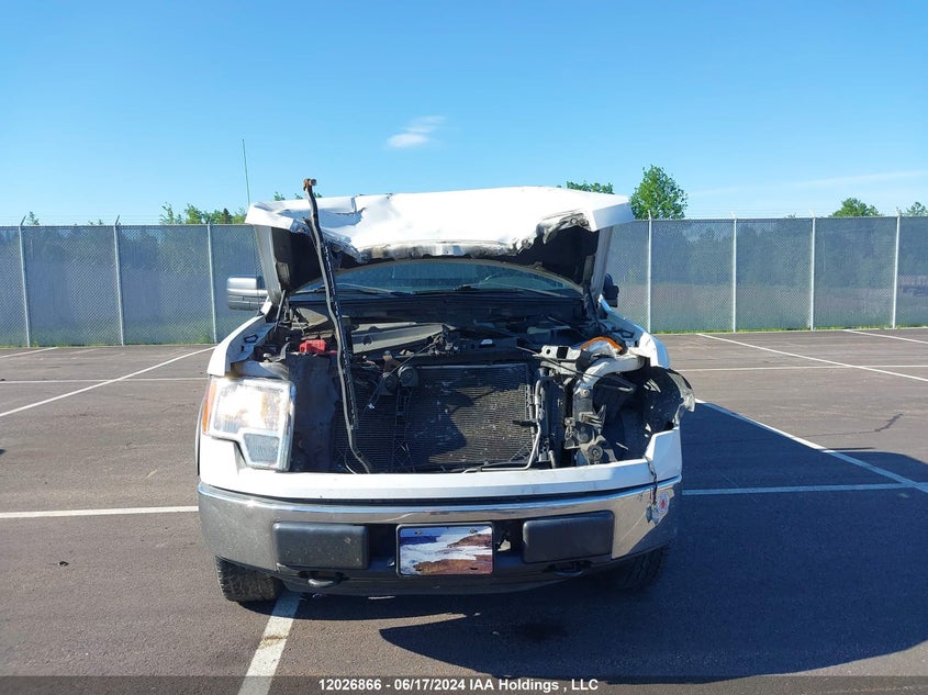 2013 Ford F-150 Xlt VIN: 1FTMF1EM8DKD32375 Lot: 12026866