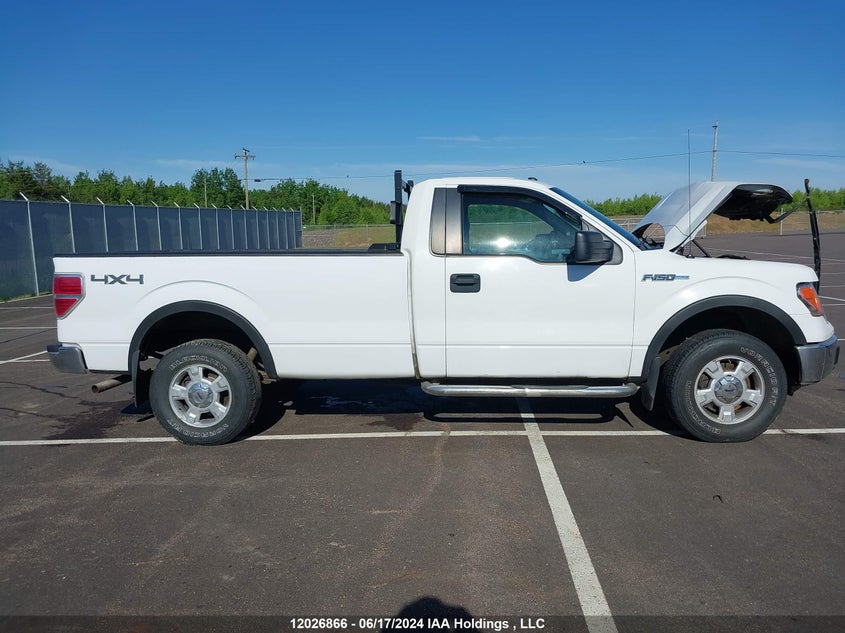 2013 Ford F-150 Xlt VIN: 1FTMF1EM8DKD32375 Lot: 12026866