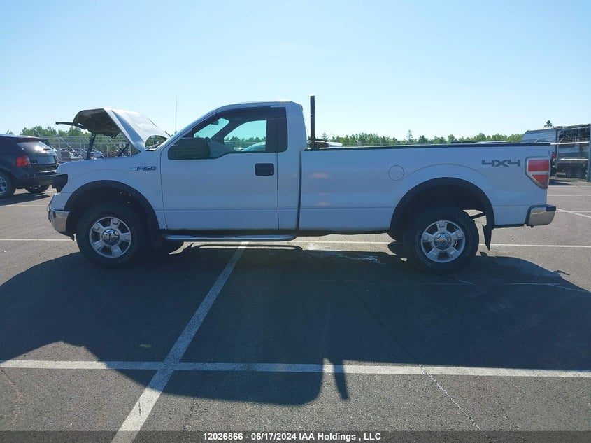 2013 Ford F-150 Xlt VIN: 1FTMF1EM8DKD32375 Lot: 12026866