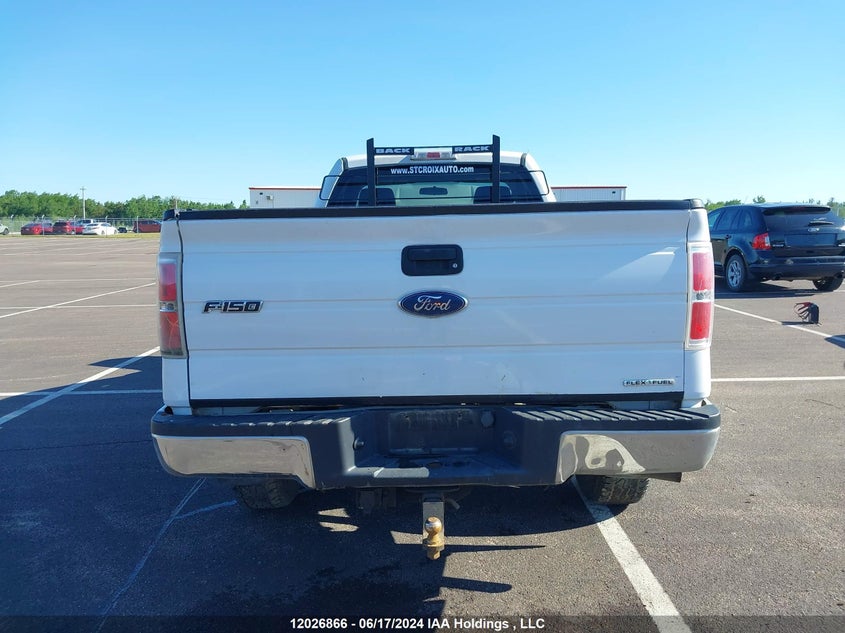 2013 Ford F-150 Xlt VIN: 1FTMF1EM8DKD32375 Lot: 12026866