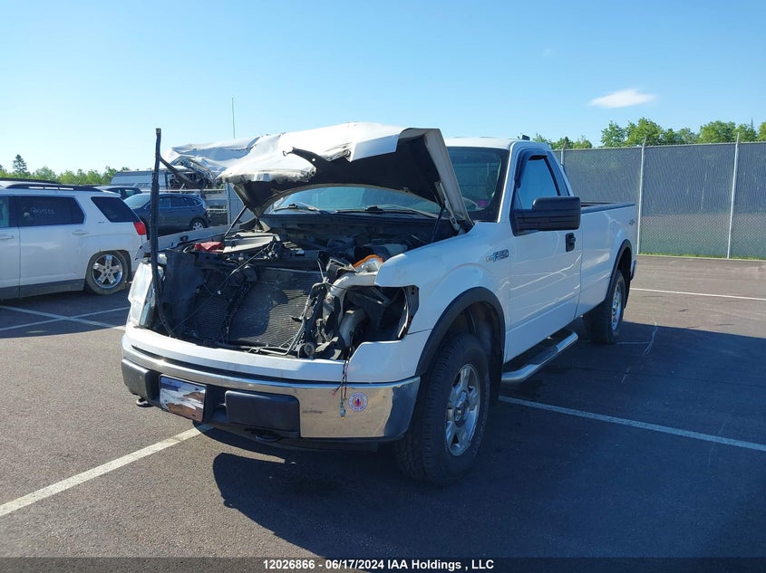 2013 Ford F-150 Xlt VIN: 1FTMF1EM8DKD32375 Lot: 12026866