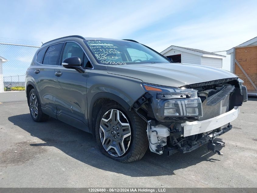 2022 Hyundai Santa Fe Urban Awd VIN: 5NMS3DAL1NH383096 Lot: 12026880