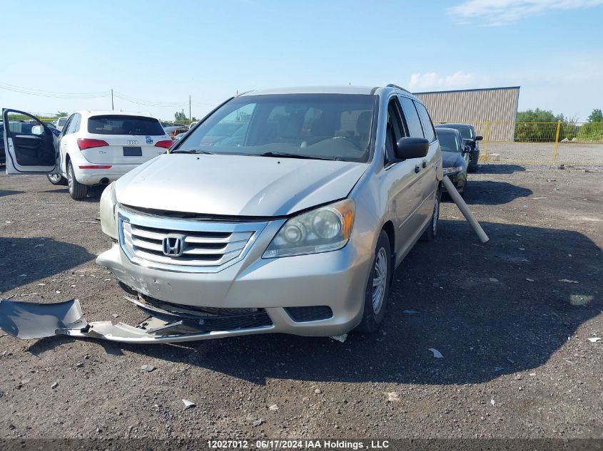 2008 Honda Odyssey VIN: 5FNRL38208B505846 Lot: 12027012