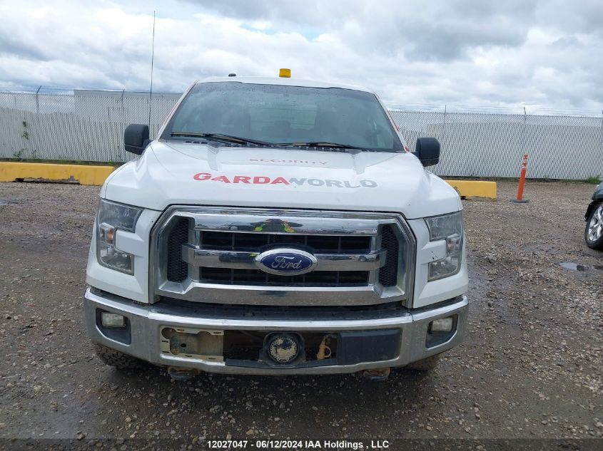 2016 Ford F-150 Xlt VIN: 1FTFW1EF3GFC19814 Lot: 12027047