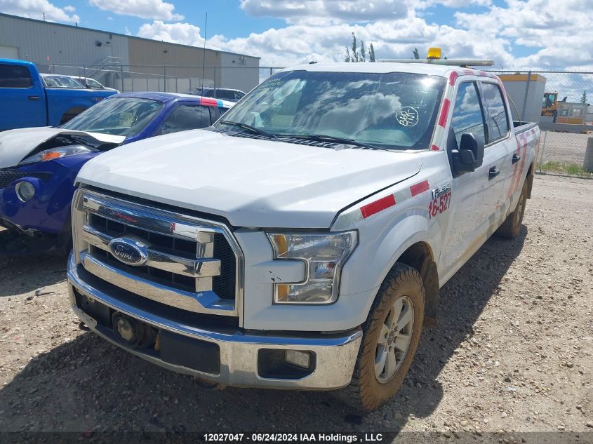 2016 Ford F-150 Xlt VIN: 1FTFW1EF3GFC19814 Lot: 12027047